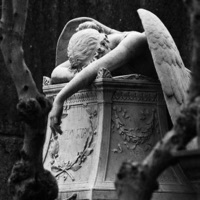 Status Unknown - Single - THEHOMEBOIII