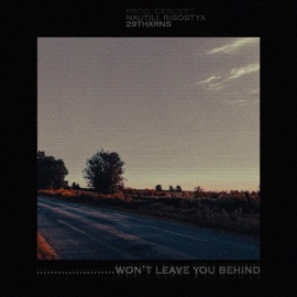 Won't Leave You Behind 29thxrns, Nautili & RisoStyx