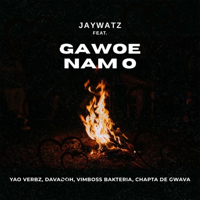 Gawoe Nam O (feat. Davadoh, Yao Verbz, VimBoss Bakteria & Chapta de gwava) - Single