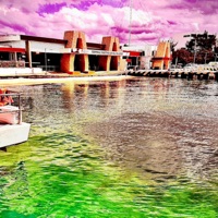 True Colors (feat. Menocity) - Single - Panic Unknown!?