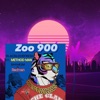 Icon Zoo 900 (feat. Method Man, Redman & Shyheim) - Single