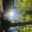 Natures way - Single
