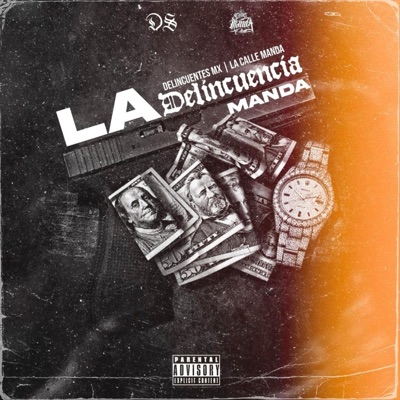 La Delincuencia Manda (feat. La Calle Manda) - Single