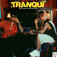 Tranqui - Single - Hamil, Joel & Feel The Hits Music