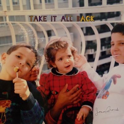 Take It All Back - Single