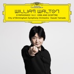City of Birmingham Symphony Orchestra & Kazuki Yamada - Symphony No. 2: II. Lento assai (Live)