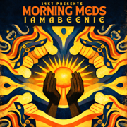 Morning Meds - 14KT
