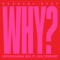 Why? (feat. Neil Tennant) [Superchumbo Edit] artwork