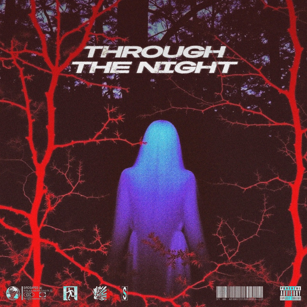 Обложка альбома «THROUGH THE NIGHT - Single» — Sirdsapes