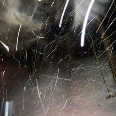 i don't wanna cry 2 (feat. SKIWELLZ) - Single