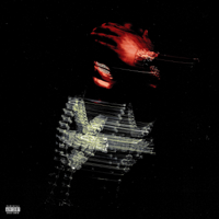 WTHELLY - Rob49 Cover Art