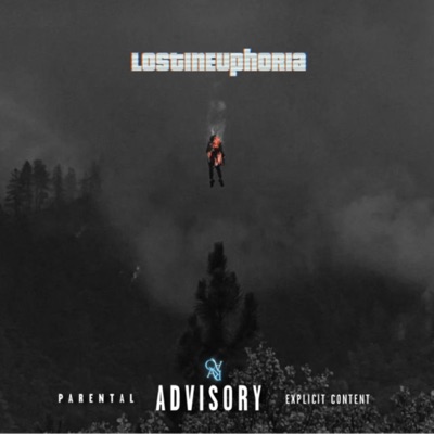 LostInEuphoria - Single