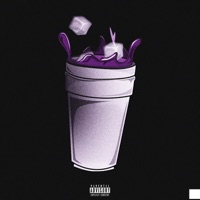 In the Dark - Single - Shaker & Cobra