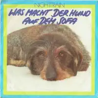 Was macht der Hund auf dem Sofa