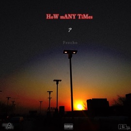 HoW mANY TiMes Feecho