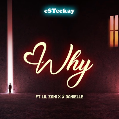 WHY (feat. Lil Zani X & Danielle) - Single