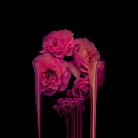 Misused Ivish & mark veins