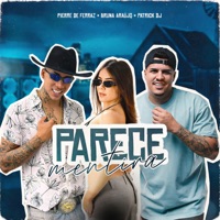 Parece Mentira - Single - Bruna Araujo, Patrick DJ & Pierre de Ferraz
