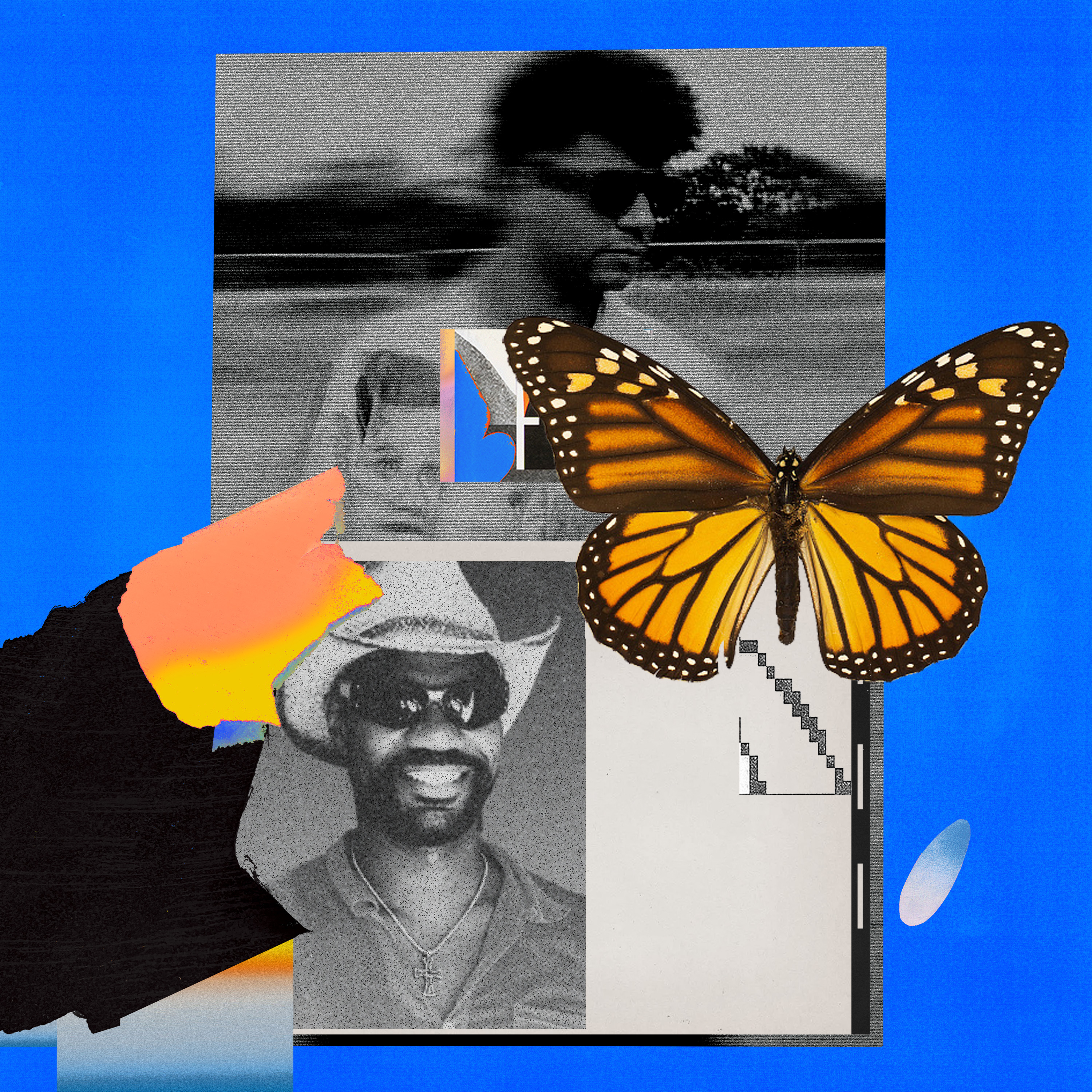 Butterflies - Single