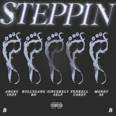 STEPPIN' (feat. Bullygang Bo, Sincerely Self, Fenkell Corey & Money22) - Single