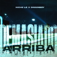 Demasiado arriba - Single - NICHE LS & DigginBoy
