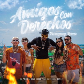 Amigos Con Derechos (Paraguay Remix) [feat. El Princi] Landa Freak, Don Pay & Milk Shake