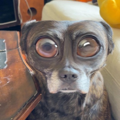 Never Quit (feat. ÐJ Flo) [Way Too Old...] - Single