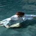 swim