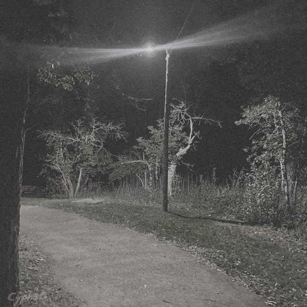 night