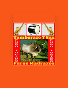 收听 Tamborazo y Sax、观看音乐视频、阅读小传、查看巡演日期等 ！