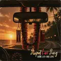 Stupid Love Song
