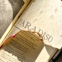 Painless Tortue - Single - B.High