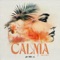 CALMA artwork