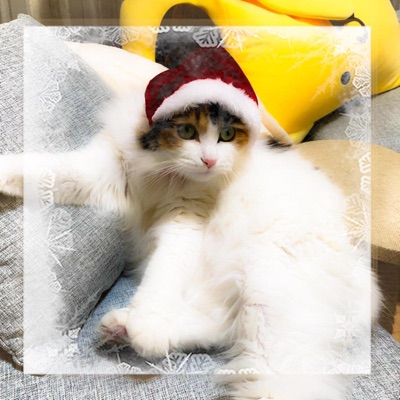 all i want 4 xmas is u - Single