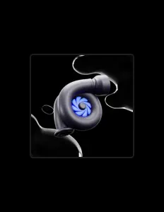 Auxyを聴いたり、ミュージックビデオを鑑賞したり、経歴やツアー日程などを確認したりしましょう！