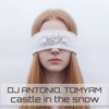 Castle in the Snow