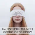 Castle in the Snow