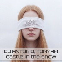 Castle in the Snow