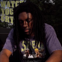 Watch You Cry - Single - N8