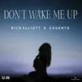 Don't Wake Me Up