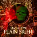 Plain Sight