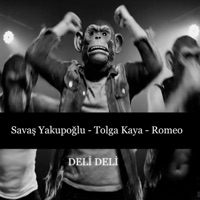 Deli Deli - Single - Savaş Yakupoğlu, Romeo & Tolga Kaya