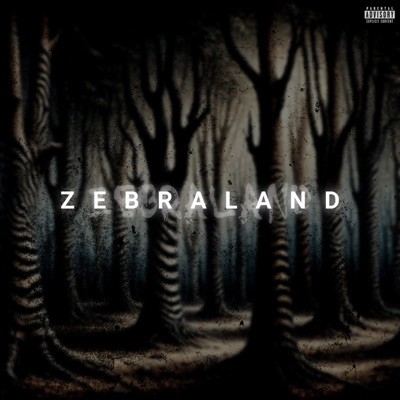 Z E B R A L A N D