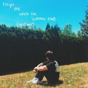 forget me when the summer ends (alternate)