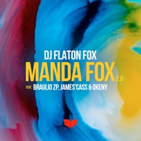 Manda Fox 2.0 (feat. Okeny, Bráulio ZP & James'Cass) - Single - DJ Flaton Fox