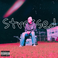 Stressed - Single - Trap Fatty