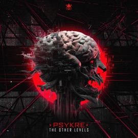 The other levels PSYKRE