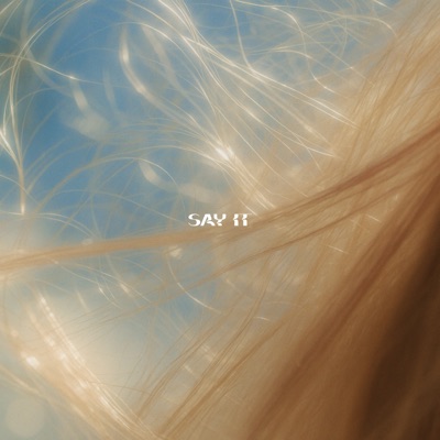 SAY IT - Single