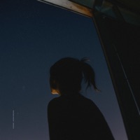 avenoir (Remixes) - Single - danweer