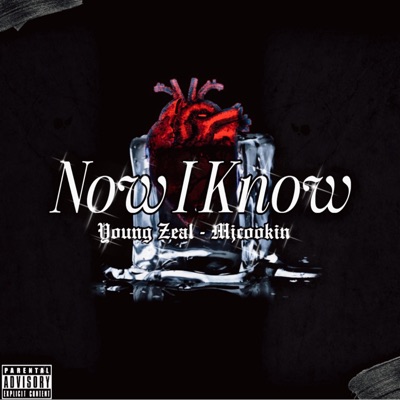 Now I Know (feat. Mjcookin) - Single